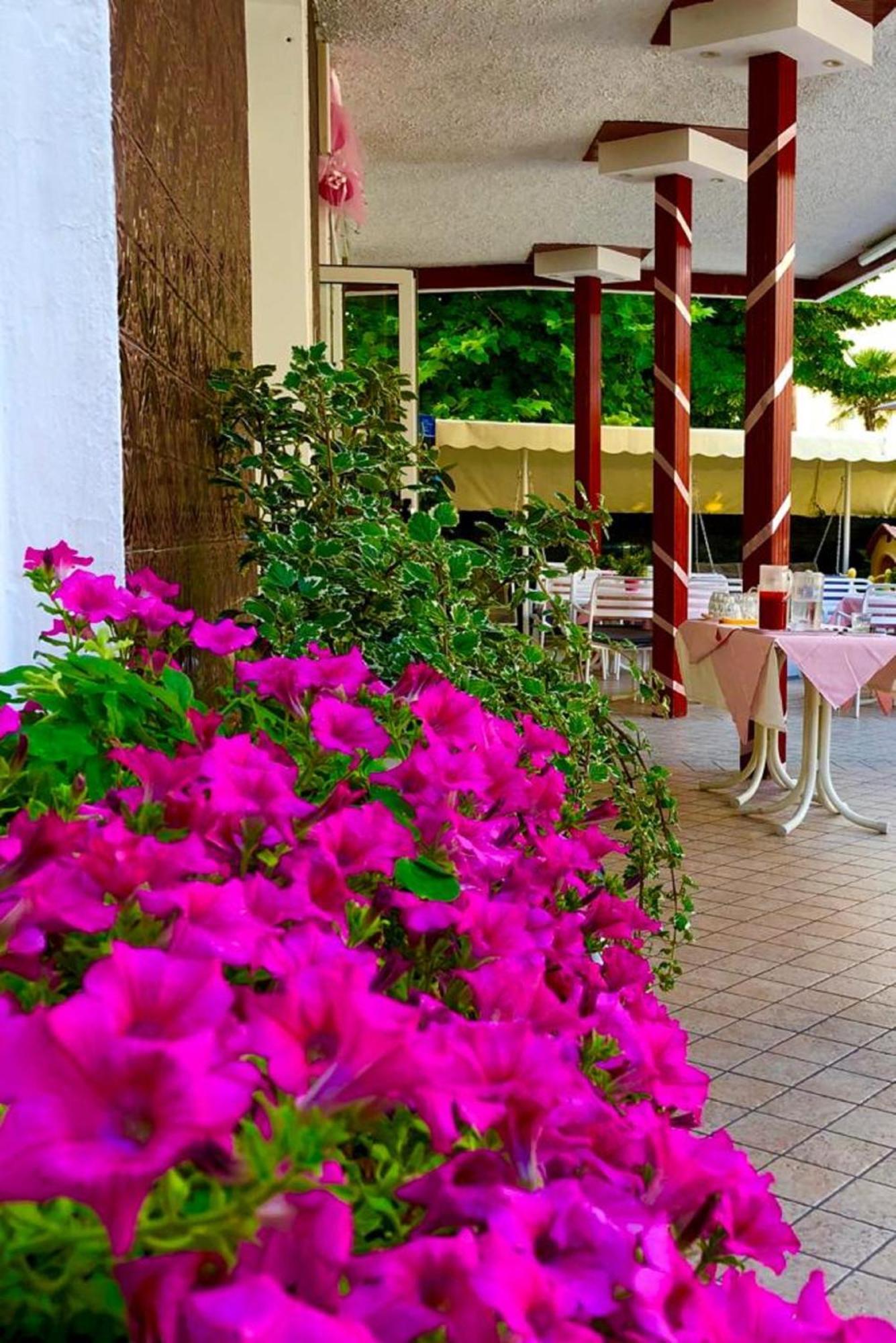 Hotel Alessi** Rimini Esterno foto